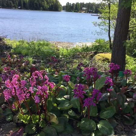 Tammilahti - Oak Bay *